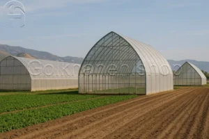 گلخانه گاتیک اسپانیایی